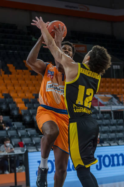 金州勇士迎 金州勇士迎